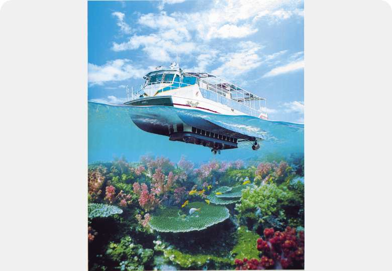 愛南町 海中展望船クルーズ