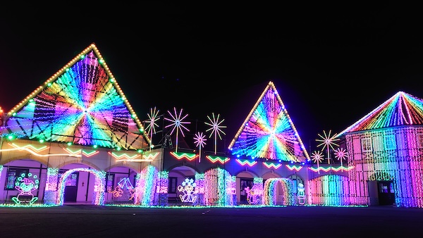 東京ドイツ村