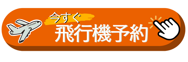 今すぐ飛行機予約