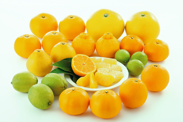 レモン・柑橘類